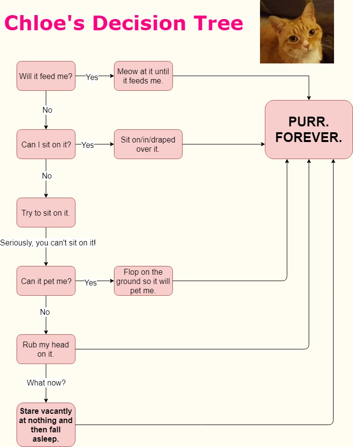 Chloe decision tree